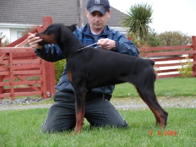 de la Villa Valiano - Dénali Fédone Best Of Breed Corrib Canine Club (Irlande)