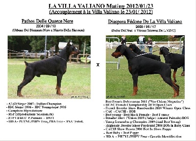 de la Villa Valiano - La Villa Valiano Mating 2012 