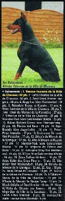 de la Villa Valiano - Vérone Best Dobermann 2007 (GP Vos chiens)