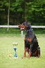  - Diablo Best Young and Best of Breed CACIB Spéciale Dob St Brieuc