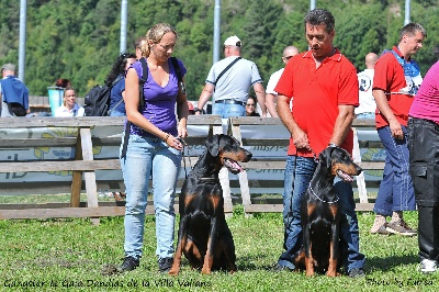 de la Villa Valiano - Résultats régionale d'élevage de Normandie 2012